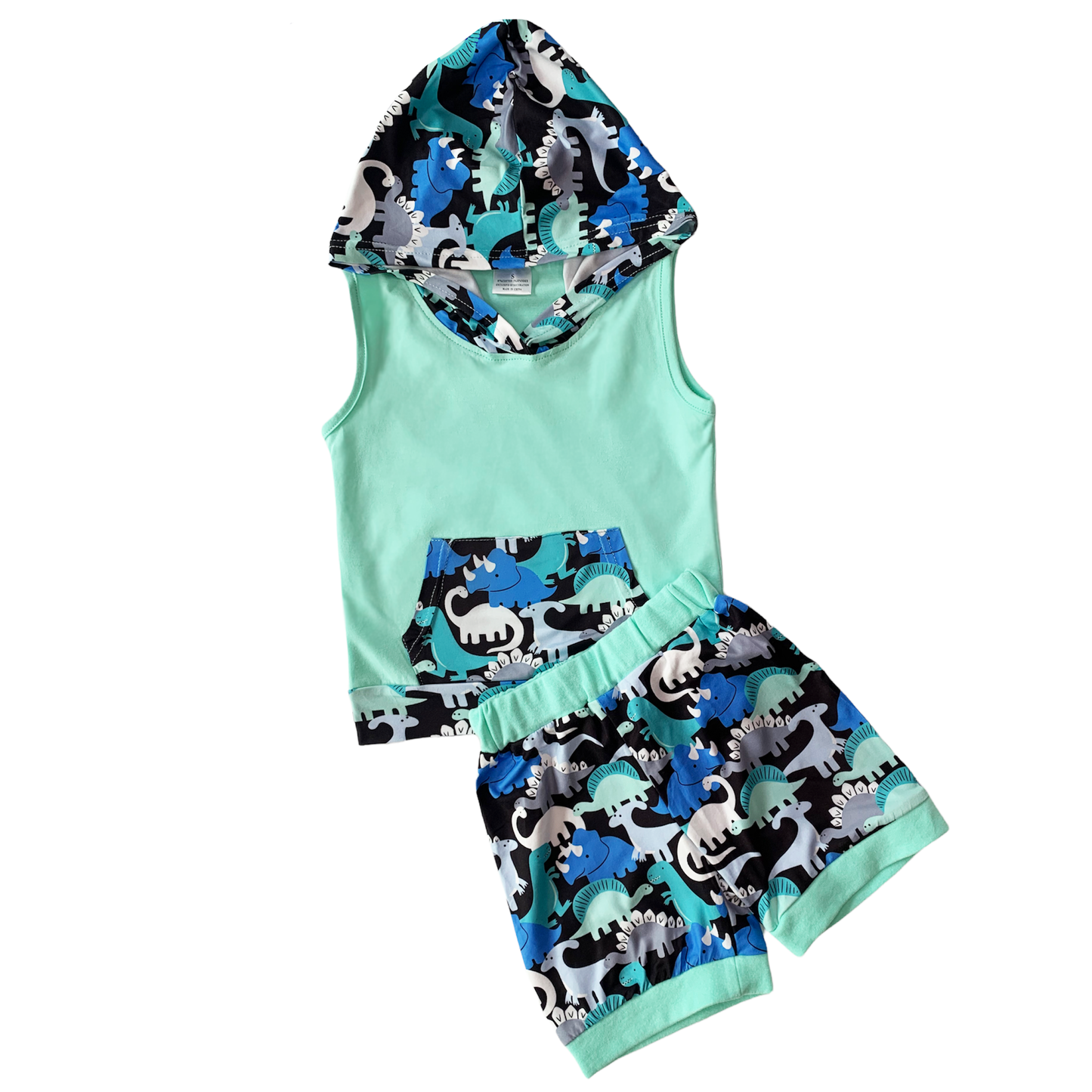 Boys’ Dinosaur Hoodie & Shorts Set