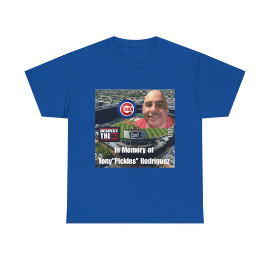 In Memory Unisex Tee, Tribute Shirt, Memorial T-Shirt, Grief Support Gift, Baseball Fans Tee, Respect the Game Apparel