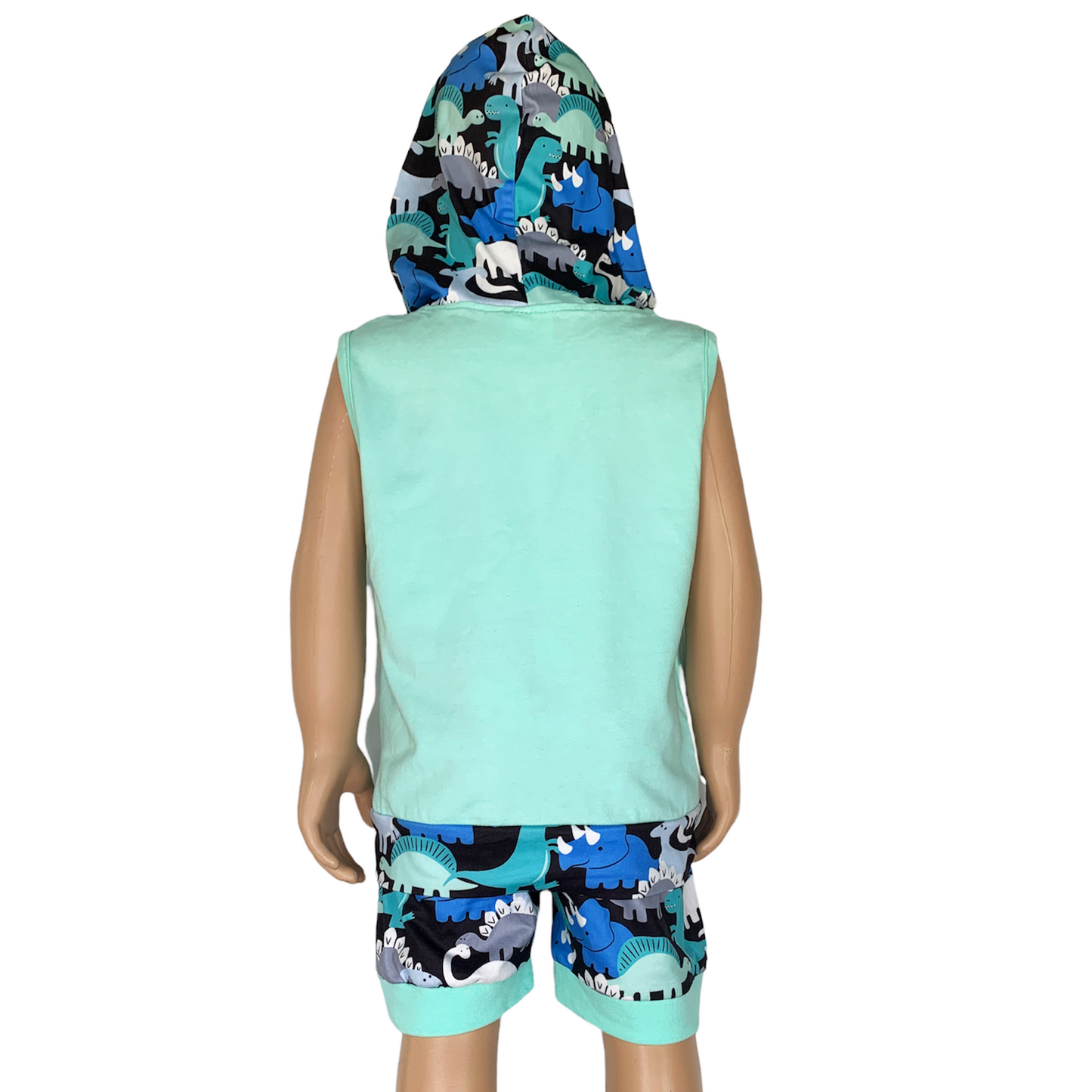 Boys’ Dinosaur Hoodie & Shorts Set